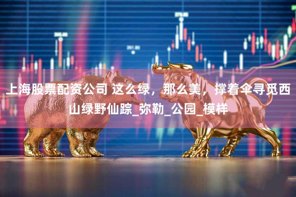 上海股票配资公司 这么绿，那么美，撑着伞寻觅西山绿野仙踪_弥勒_公园_模样