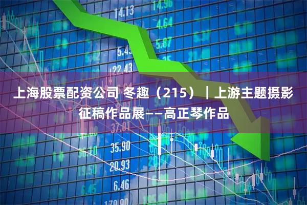 上海股票配资公司 冬趣（215）｜上游主题摄影征稿作品展——高正琴作品